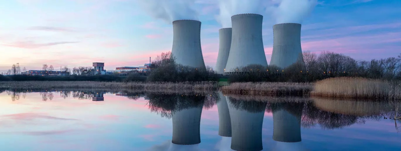 Nuclear power plan insulation